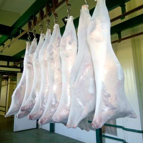 Lamb Carcass