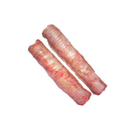 Trachea