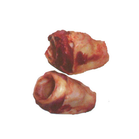 Gullet