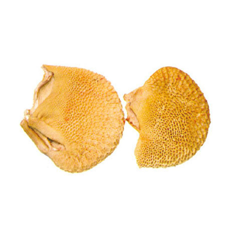 Honey Comb