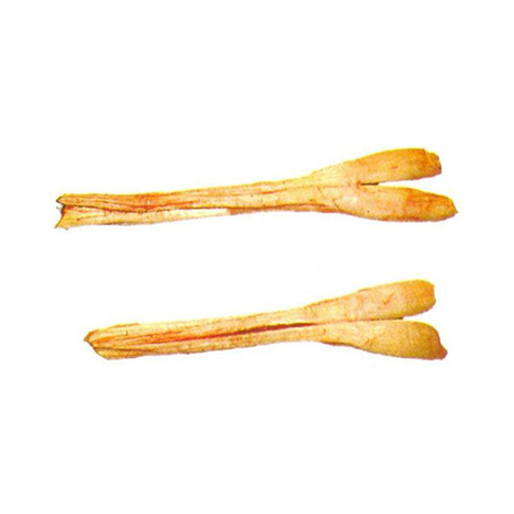 Hock Tendons